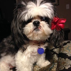 Meet your Posher, Anna